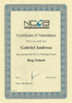Rug School Certificate
