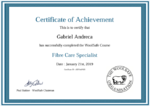 Certificate of Achievement - Fibre Care Specialist